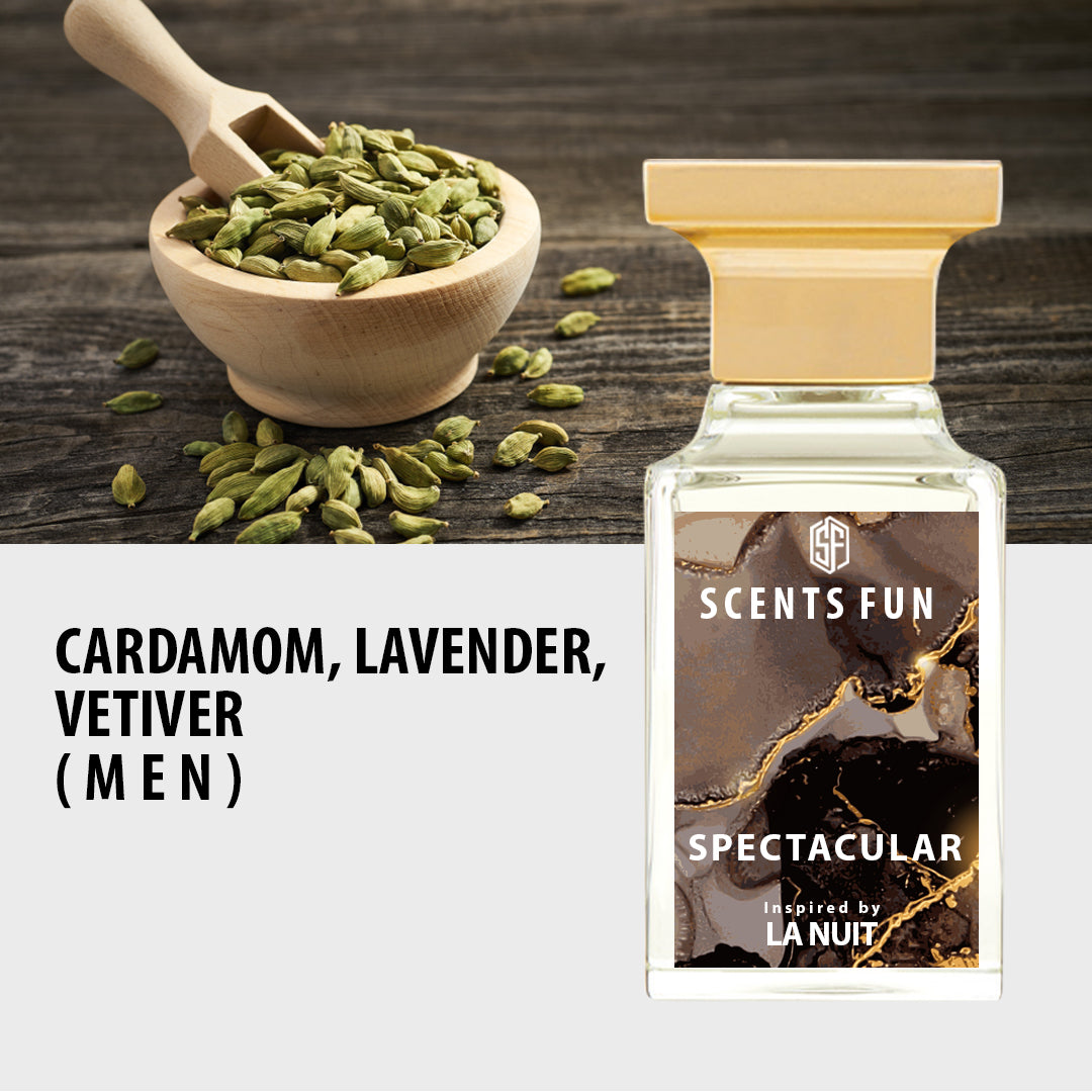 Spectacular | Inspired By La Nuit