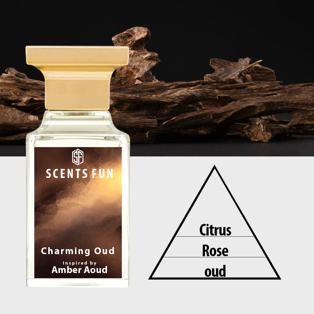 Charming Oud  | Inspired By Amber Aoud